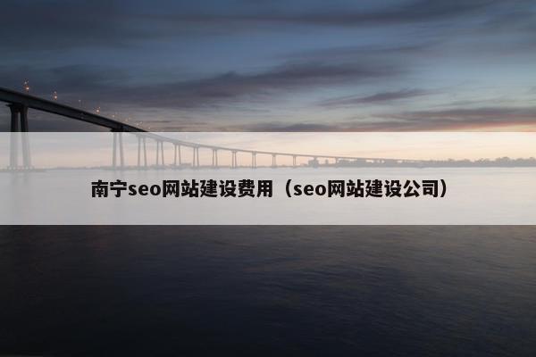 南宁seo网站建设费用（seo网站建设公司）