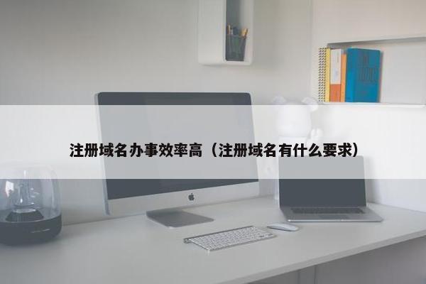 注册域名办事效率高（注册域名有什么要求）