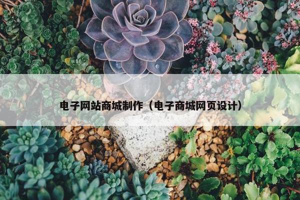 电子网站商城制作（电子商城网页设计）