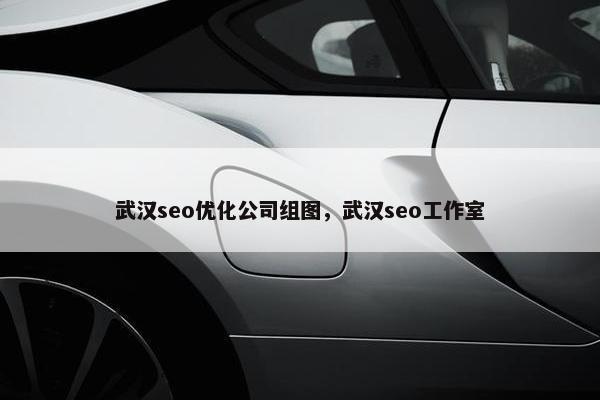 武汉seo优化公司组图，武汉seo工作室