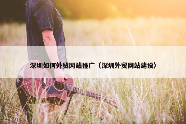 深圳如何外贸网站推广（深圳外贸网站建设）