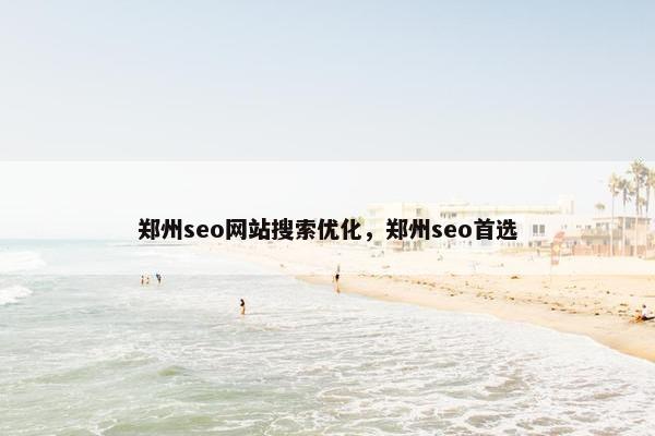 郑州seo网站搜索优化，郑州seo首选