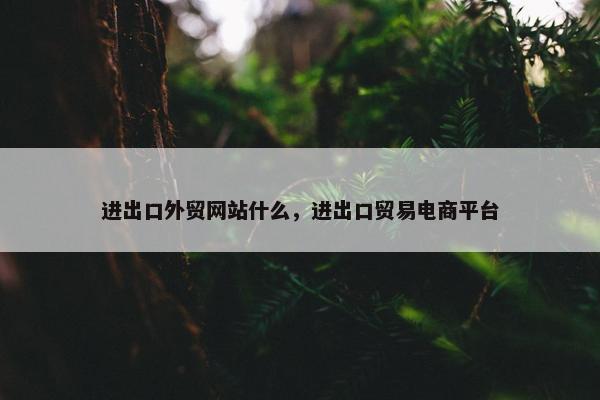 进出口外贸网站什么，进出口贸易电商平台