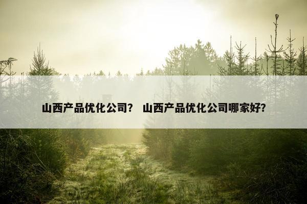 山西产品优化公司？ 山西产品优化公司哪家好？
