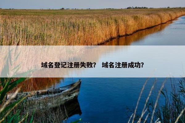域名登记注册失败？ 域名注册成功？