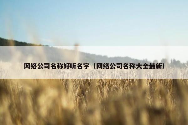 网络公司名称好听名字（网络公司名称大全最新）