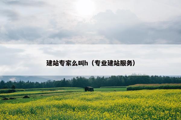 建站专家么叫h（专业建站服务）