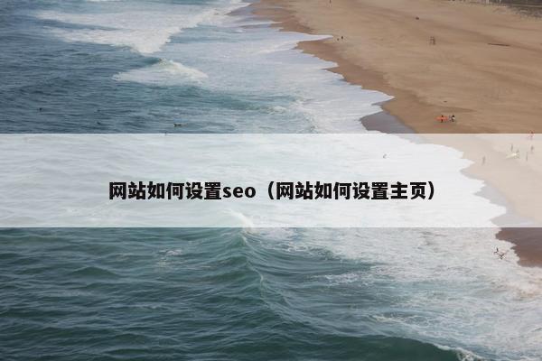 网站如何设置seo（网站如何设置主页）