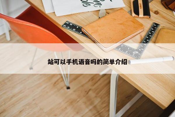 站可以手机语音吗的简单介绍
