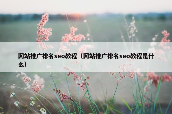 网站推广排名seo教程（网站推广排名seo教程是什么）