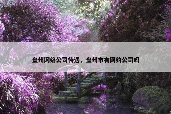 盘州网络公司待遇，盘州市有网约公司吗