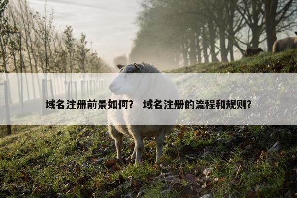域名注册前景如何？ 域名注册的流程和规则？