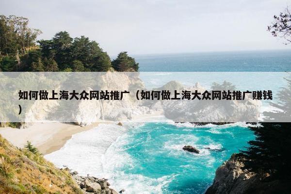 如何做上海大众网站推广（如何做上海大众网站推广赚钱）