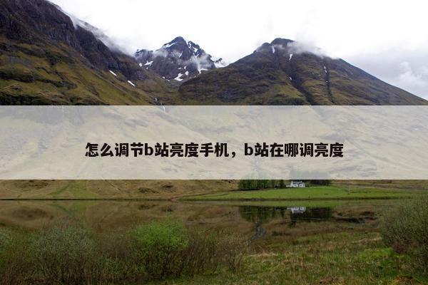 怎么调节b站亮度手机，b站在哪调亮度