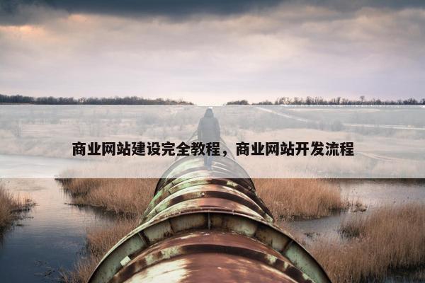 商业网站建设完全教程，商业网站开发流程