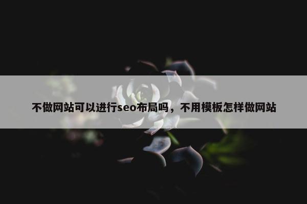 不做网站可以进行seo布局吗，不用模板怎样做网站