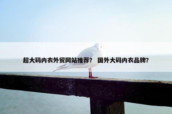 超大码内衣外贸网站推荐？ 国外大码内衣品牌？