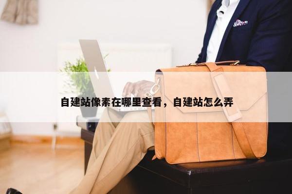 自建站像素在哪里查看，自建站怎么弄
