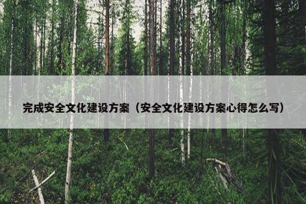 完成安全文化建设方案（安全文化建设方案心得怎么写）
