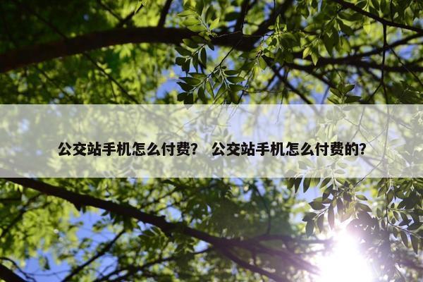 公交站手机怎么付费？ 公交站手机怎么付费的？