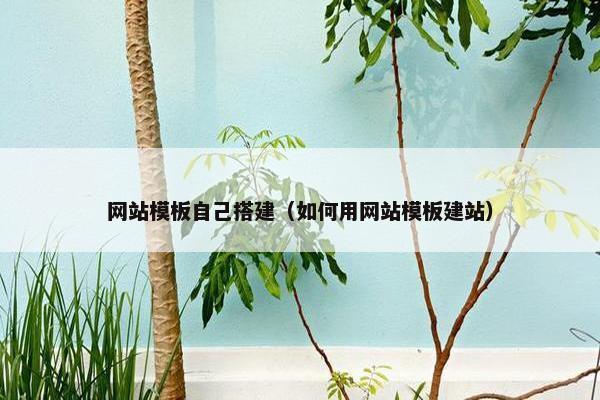 网站模板自己搭建（如何用网站模板建站）