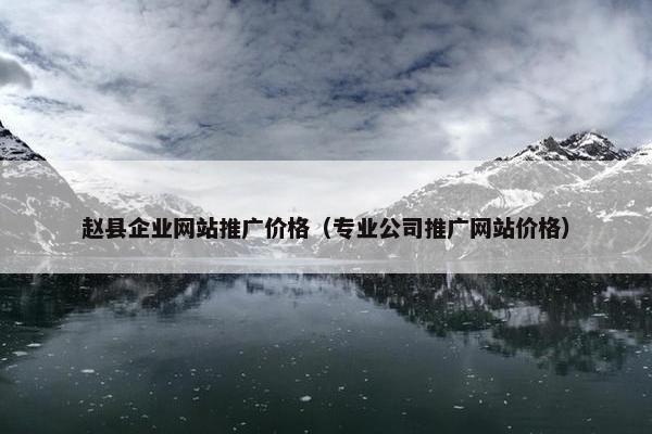 赵县企业网站推广价格（专业公司推广网站价格）