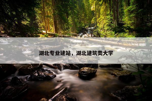 湖北专业建站，湖北建筑类大学