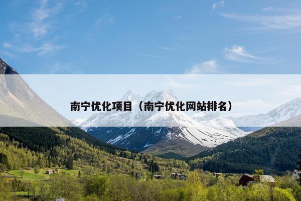 南宁优化项目（南宁优化网站排名）