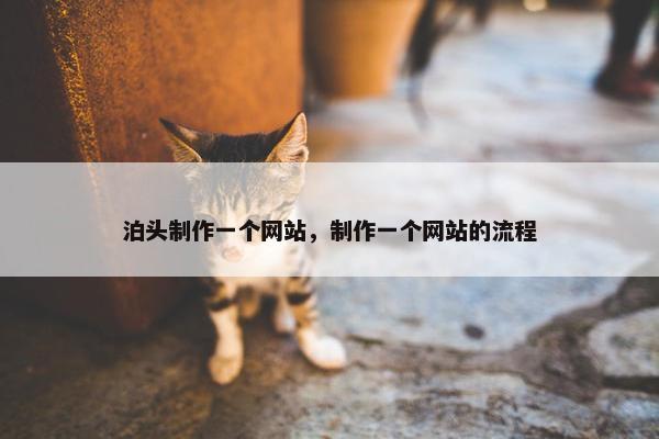 泊头制作一个网站，制作一个网站的流程