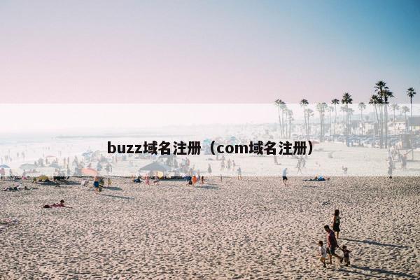 buzz域名注册（com域名注册）