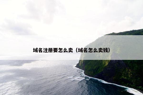 域名注册要怎么卖（域名怎么卖钱）