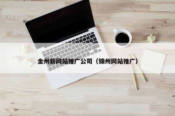 金州新网站推广公司（锦州网站推广）
