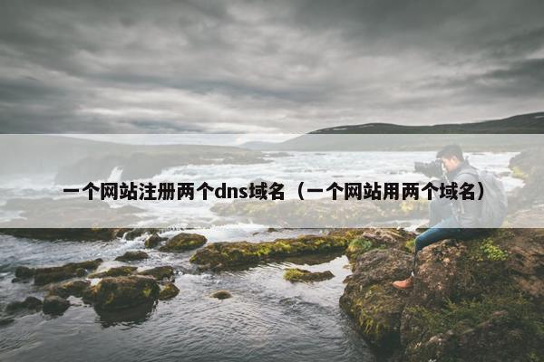 一个网站注册两个dns域名（一个网站用两个域名）