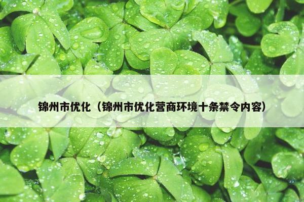 锦州市优化（锦州市优化营商环境十条禁令内容）