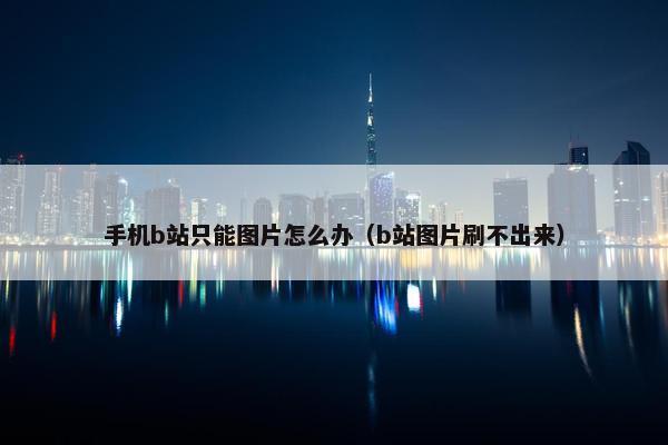 手机b站只能图片怎么办（b站图片刷不出来）