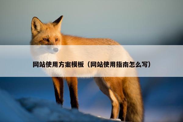 网站使用方案模板（网站使用指南怎么写）