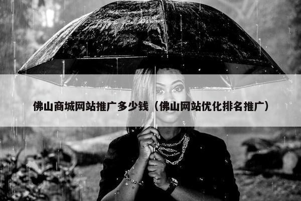 佛山商城网站推广多少钱（佛山网站优化排名推广）