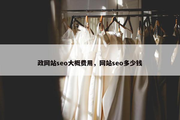 政网站seo大概费用，网站seo多少钱