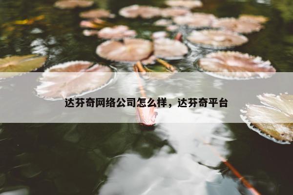 达芬奇网络公司怎么样，达芬奇平台