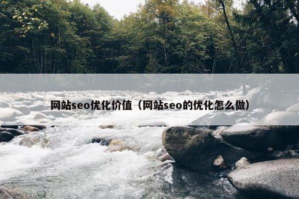 网站seo优化价值（网站seo的优化怎么做）