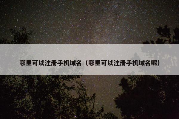 哪里可以注册手机域名（哪里可以注册手机域名呢）