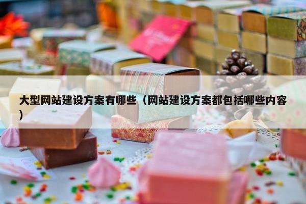 大型网站建设方案有哪些（网站建设方案都包括哪些内容）