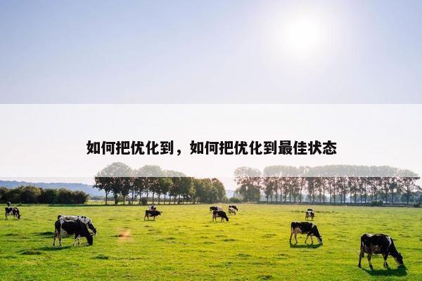 如何把优化到，如何把优化到最佳状态