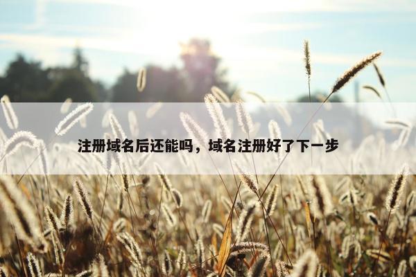 注册域名后还能吗，域名注册好了下一步