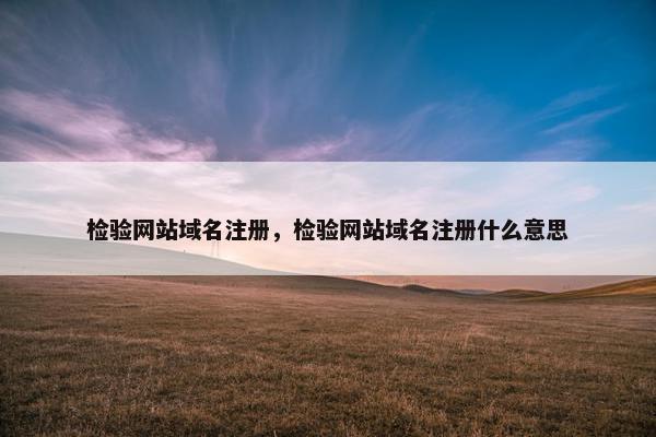 检验网站域名注册，检验网站域名注册什么意思