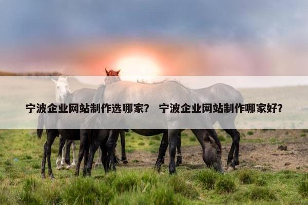 宁波企业网站制作选哪家？ 宁波企业网站制作哪家好？