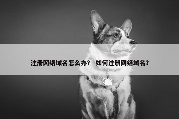 注册网络域名怎么办？ 如何注册网络域名？