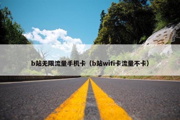 b站无限流量手机卡（b站wifi卡流量不卡）