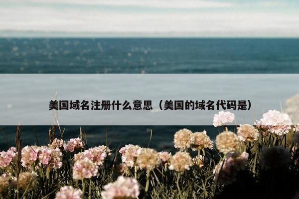 美国域名注册什么意思（美国的域名代码是）