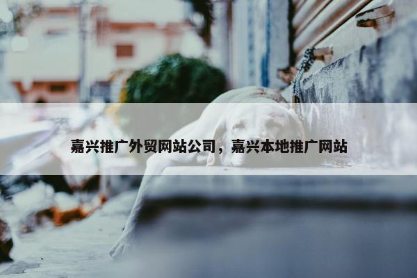 嘉兴推广外贸网站公司，嘉兴本地推广网站